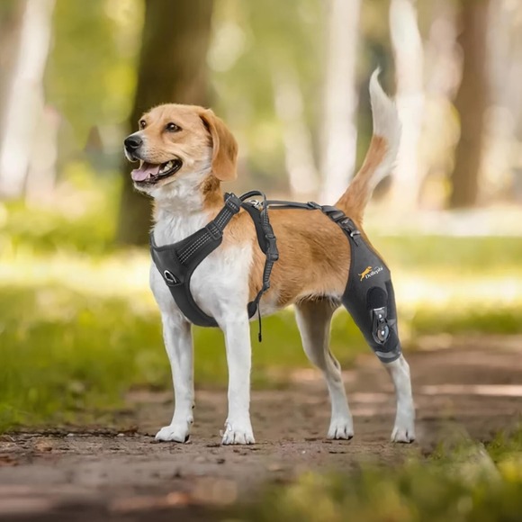 Dog Knee Brace‎ XL Left Leg w/ Hinge ACL CCL Support Recovery - Picture 9 of 13